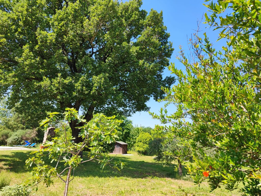 GIARDINO ZONA QUERCIA